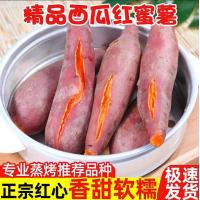 高原红薯西瓜红蜜薯番薯地瓜农家自种糖心甜小香薯